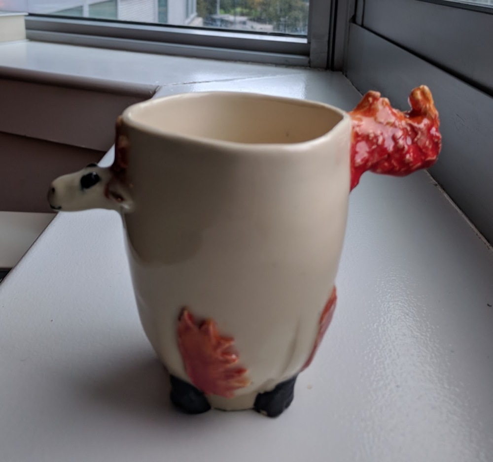 Ponyta mug