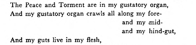 A scan of a section of poetry from Professor Mmaa's Lecture. Text reads (with newlines indicated): "The Peace and Torment are in my gustatory organ, (newline) And my gustatory organ crawls all along my fore-(newline) and my mid-(newline) and my hind-gu,t(newline) And my guts live in my flesh,"; fore-, mid-, and hind- are all aligned at the dash