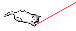A cat playing with a laser pointer
